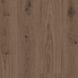 Вініл Tarkett Elegance Rigid 55 Delicate Oak Brown 280007016 &mdash; фото в інтер'єрі 1